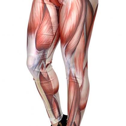 Women's Muscle Anatomy Leggings..