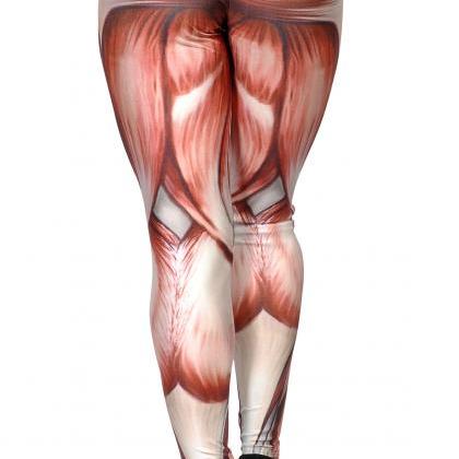 Women's Muscle Anatomy Leggings..