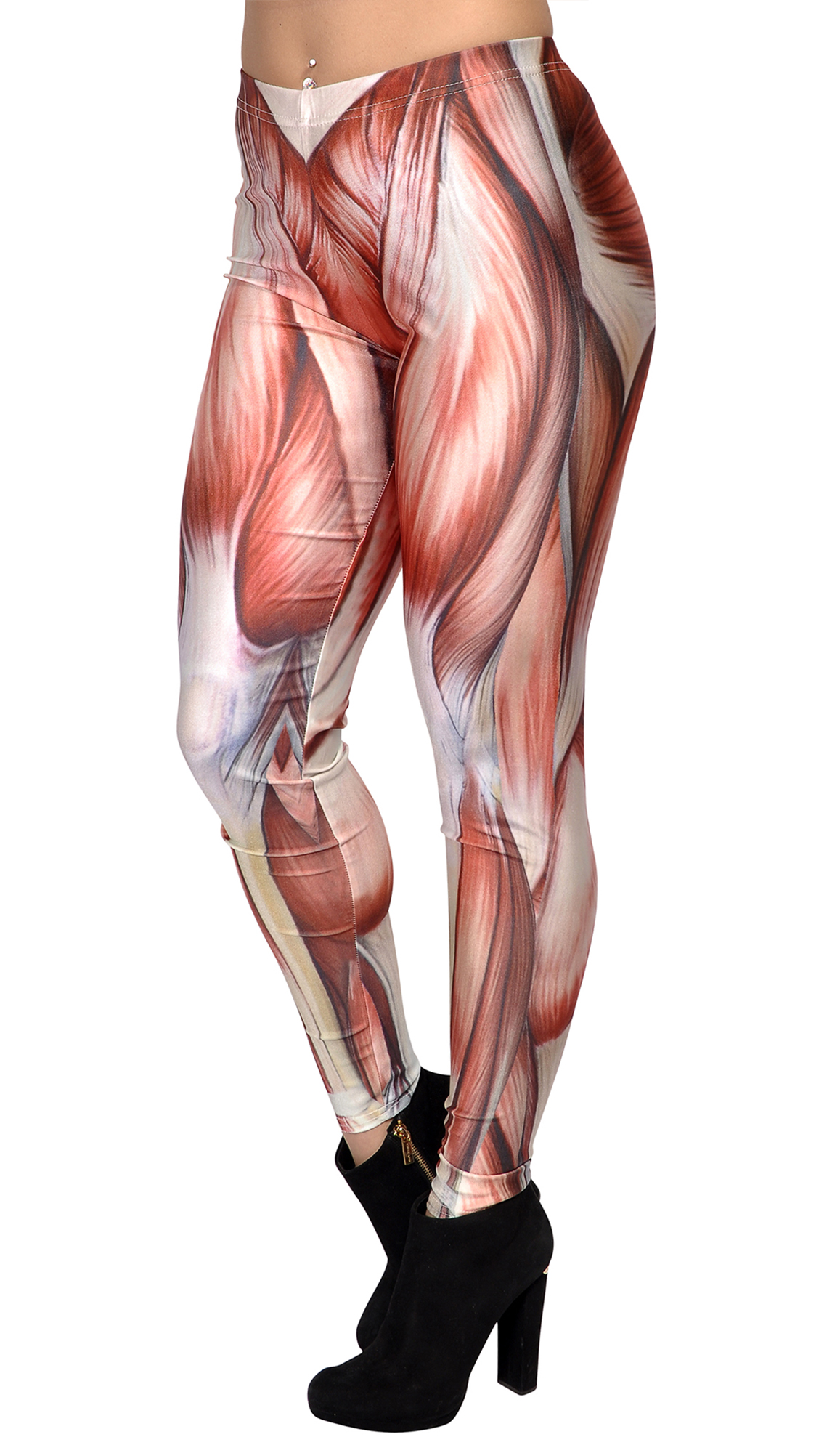 Women's Muscle Anatomy Leggings Medium